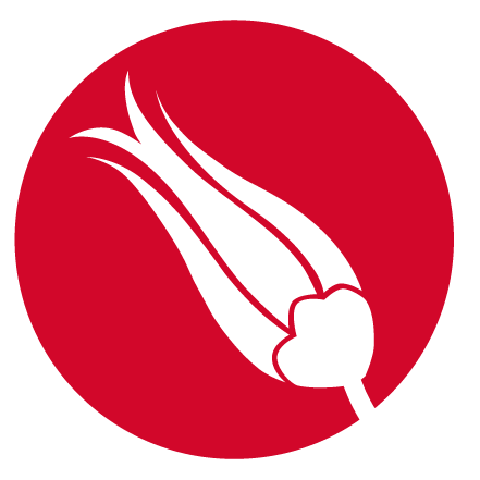 HandsOnTurkish's profile picture. New EU-funded #Turkish course and app. Promoting the Turkish language and business.