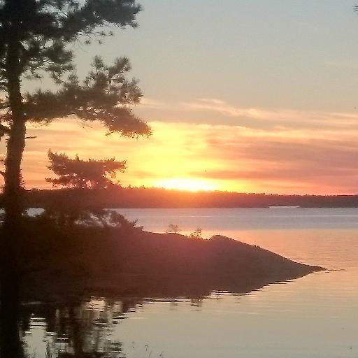 HjorthPartners's profile picture. Fullservicebyrå inom ekonomi och juridik. Vi sköter tryggt er ekonomi, lär känna, stöttar och rådger vad som behövs i just er verksamhet.