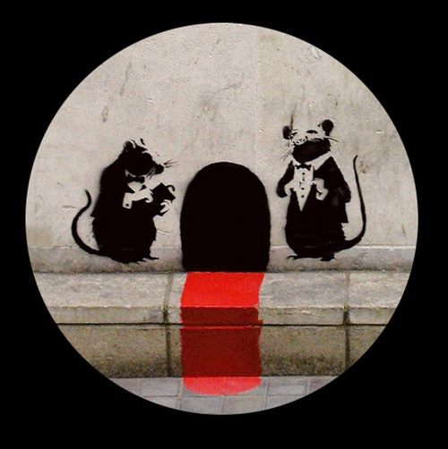 Zuppa's profile picture. 