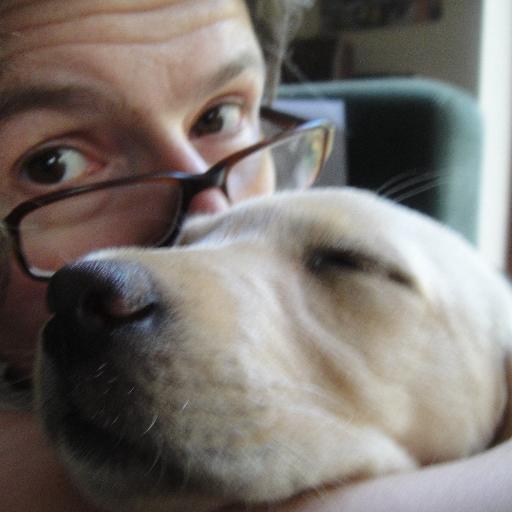 lizmitch's profile picture. Curator, writer, lecturer in art and design history. Interested in collecting, museums, stories, small things, weather and spoons.