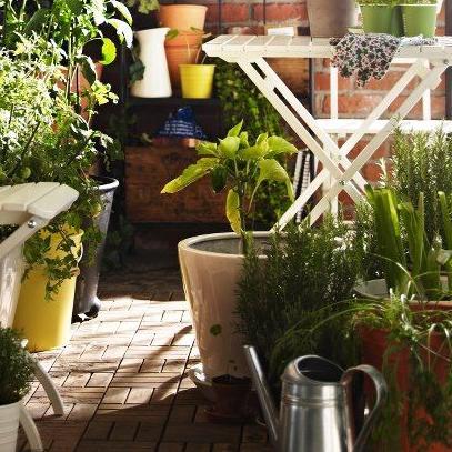 Jardiner en ville s’associe avec #ViveLeVégétal ! Des articles et une boutique en ligne pour satisfaire toutes vos envies de #jardinage !