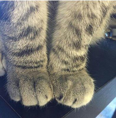 ohmygrane's profile picture. too bad the things that makes you mad are my favorite things :o