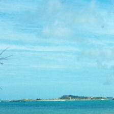 mickuyu's profile picture. 