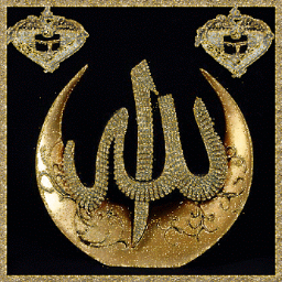 KhanSaleem909's profile picture. Thive