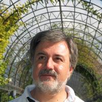 M Lourenço, MD PhD (@felicidade52) 's Twitter Profile