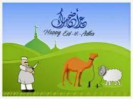 ayeshaumerhayat's profile picture. 