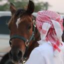 خيال الأصايل (@02EV3VLO6QuI3iC) Twitter