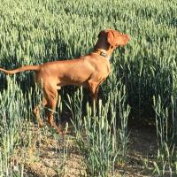 Rupert Hobson (@ruperthobson) 's Twitter Profile Photo Rupert Hobson (@ruperthobson) 's Twitter Profile Photo