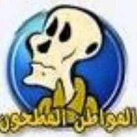 المواطن المطحون (@elmwatnelmathon) 's Twitter Profile