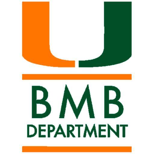 @UM_BMB