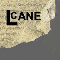 LCANE (@londoncentrene) 's Twitter Profile Photo LCANE (@londoncentrene) 's Twitter Profile Photo
