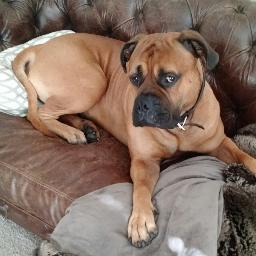 rudd_dev's profile picture. 