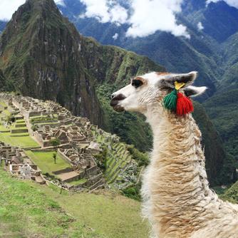 raising money for a once in a lifetime opportunity to visit peru with our school! 14 and 16 year olds.