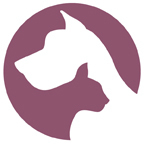 BestFriendSvcs's profile picture. Best Friend Services provides pet urns and other pet loss products. We have been the #1 seller since 2003.