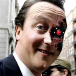 torybotbingo's profile picture. 