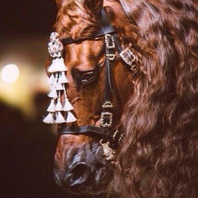 Dll37non's profile picture. 