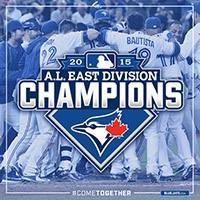 Follow me as i follow the #bluejays all the way to the #worldseries #letsplayball #takemeouttotheballgame #cometogether #lovethisteam #bestteaminbaseball