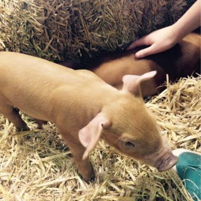 H_Y_M_'s profile picture. 