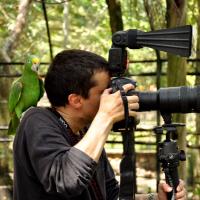 El Pato Salcedo (@elpatosalcedo) 's Twitter Profile