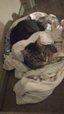 stuey1829's profile picture. 