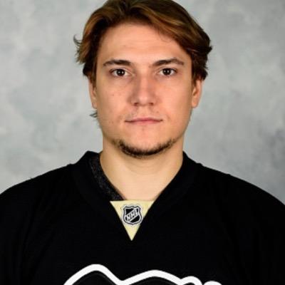 PIotnikov_'s profile picture. Penguins Diehard | Hockey Ultimate Team