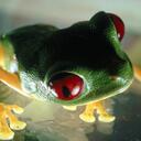 Dave Lake - @dlake2008 - Twitter