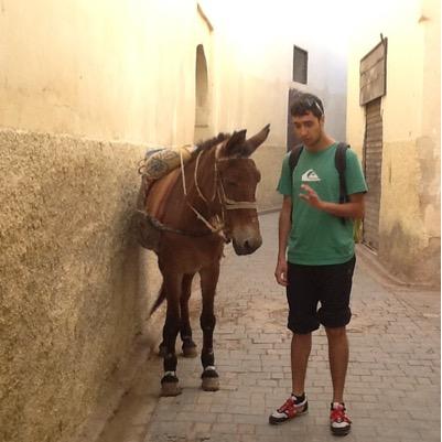 danilocav's profile picture. eroe, candidato al Nobel per la pace 2021. medico, padre di Marta, di sinistra e di possibile (=)