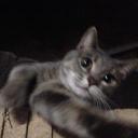 Tracy Holbert - @TracyHolbert16 - Twitter