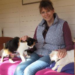 Passionate about animal welfare. Chairman and Shelter Manager at Shropshire Cat Rescue