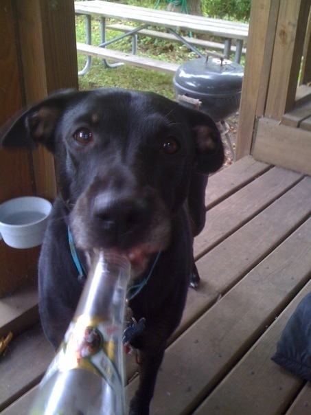 TurkKoslowitz's profile picture. The New Moderate conservative liberal