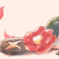 植物性たまご (@zrtb_feif) 's Twitter Profile