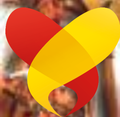 Het OIV is dé ideale partner voor een nieuwe kijk op ambachtelijke orgels en orgels te herbestemmen maar ook liefhebbers en organisten komen aan hun trekken