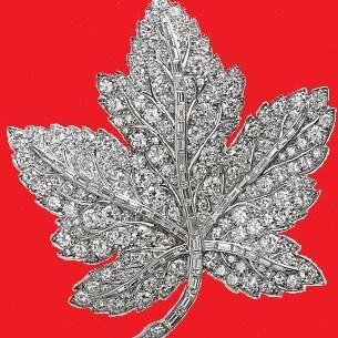 antonioarce1410's profile picture. The Official Royal Observer!