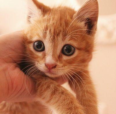 aarju_111's profile picture. student ,,, studying in lisboa(Europe) ... ex-student of SHAH SATNAM JI GIRL'S SCHOOL ...