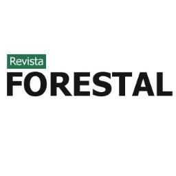Artículos, informes, datos sobre el sector forestal, y la opinión de los protagonistas más destacados.