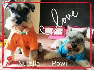 Lic. Ciencias de la Comunicación. Me encanta leer,cine,teatro, salir a correr con mis peludit@s Powii y Nutella. Amo a los animalitos me encanta ayudarlos ♥