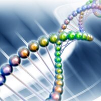 Lynch Syndrome Intl (@lynchsyndrome) 's Twitter Profile
