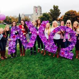 AXOMockRock2015's profile picture. This is the official twitter page for Alpha Chi Omega at Virginia Tech's Philanthrophy: Mock Rock. Our philanthrophy is domestic violence awareness