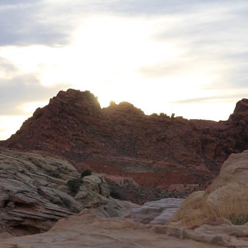 AGingForYou's profile picture. An observer of life, enthusiastic learner with constantly musing mind