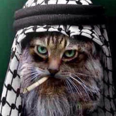 تابعني اتابعك