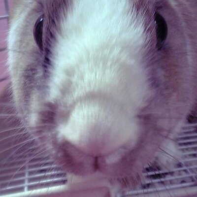 Yukf_のプロフィール写真