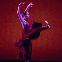 MSU Theatre/Dance (@msu_thtre_dance) 's Twitter Profile