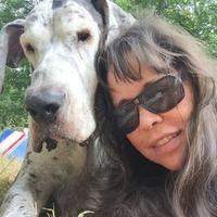 Joelle Brouqui (@jmehro1955) 's Twitter Profile
