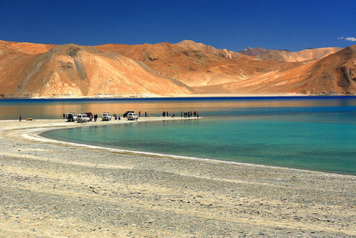 tripdeedee's profile picture. 