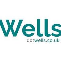 Wells Somerset (@wellssomerset) Twitter profile photo