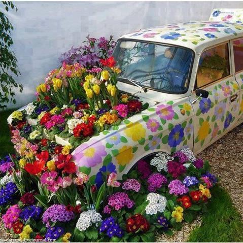 marion_rrrr's profile picture. 