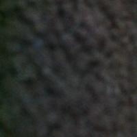 استغفر الله (@masharialmshari) 's Twitter Profile