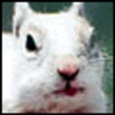 HockeyRodent's profile image