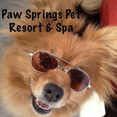 PawSpringsPets Profile Picture