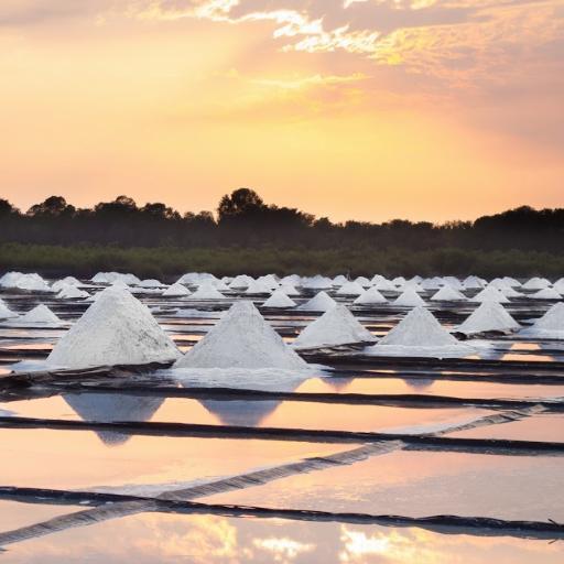 BittermanSaltCo's profile picture. 